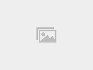 IELTS Focus (Full Mock test)